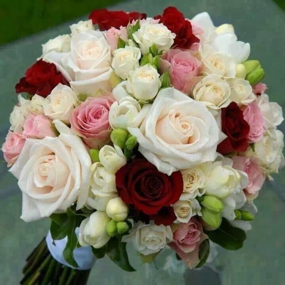 Meet your Posher, Raysa